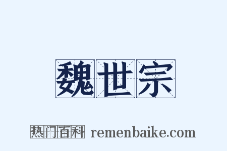 魏世宗是什么意思的图片